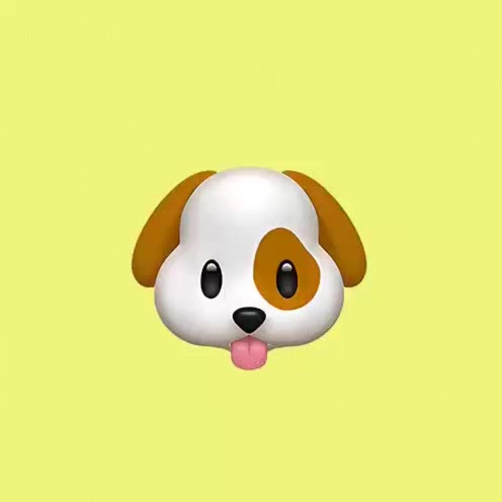 🐸🐶💎😺🚀🐒 | Drakula.app