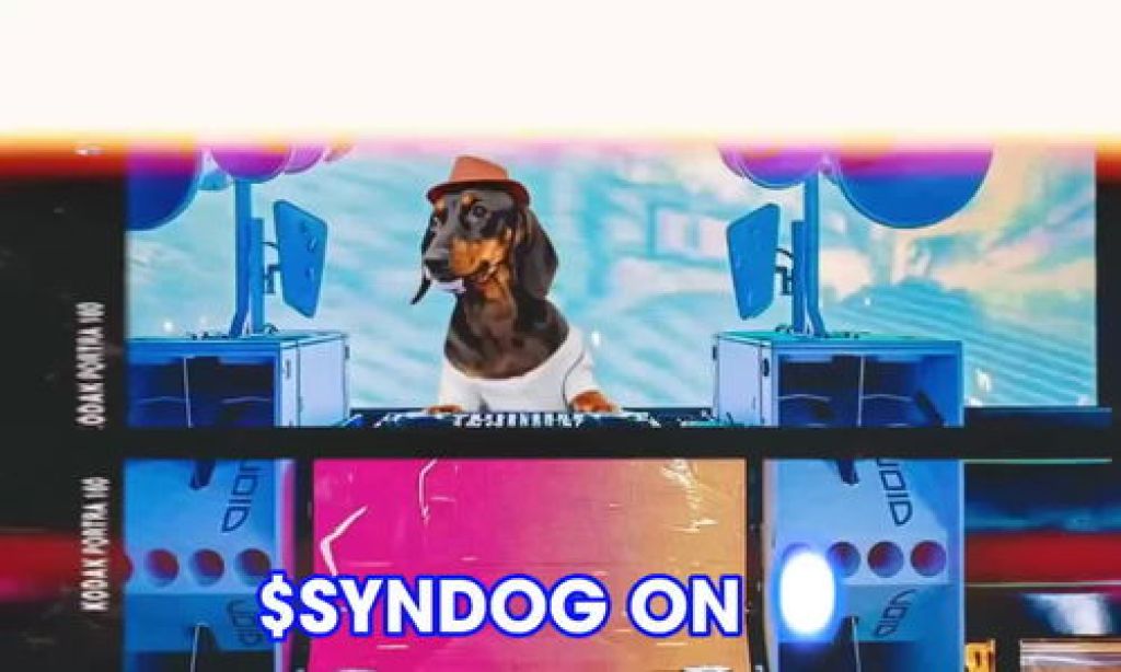 $SYNDOG CODED

BUT THE PARTY IS JUST GETTING STARTED... | Drakula.app